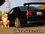 Foto Toyota Chaser Tourer V
